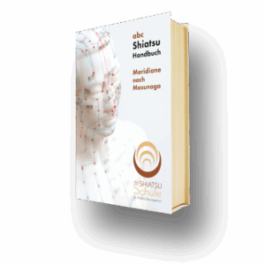 Shiatsu-Handbuch über Meridiane nach Masunaga mit Abbildung eines Modells, angeboten von der abc Shiatsu Schule.