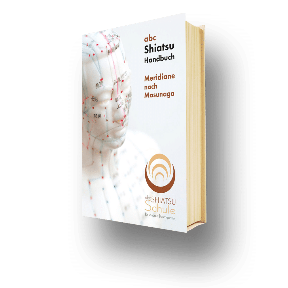 Shiatsu-Handbuch über Meridiane nach Masunaga mit Abbildung eines Modells, angeboten von der abc Shiatsu Schule.