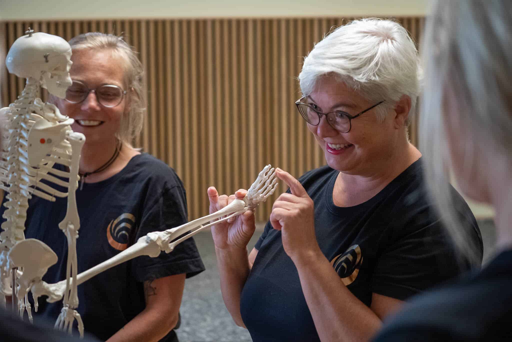 Personen studieren ein Skelett in einem Shiatsu-Kurs für praktische Anwendungen und Techniken.