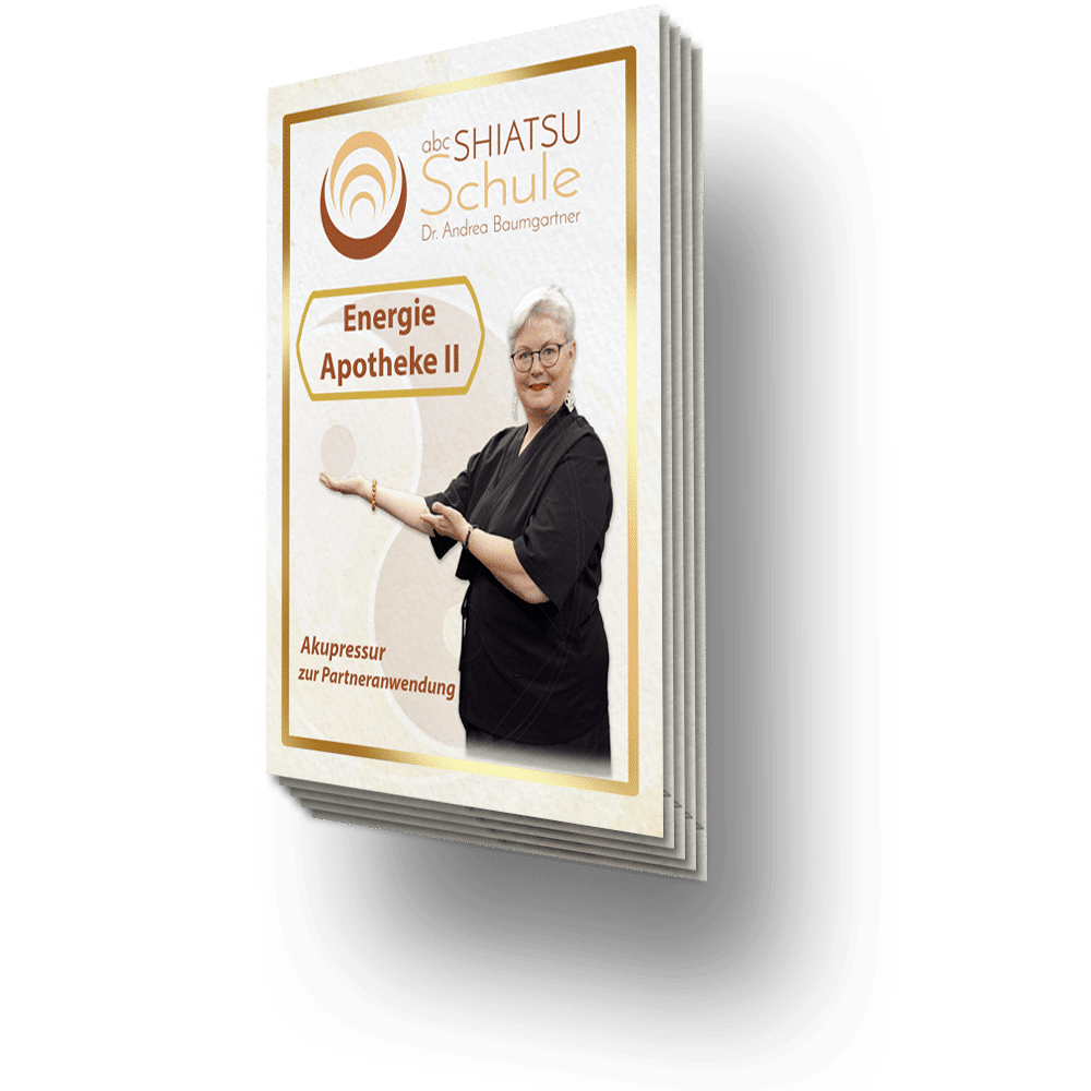 Buchcover einer Shiatsu-Schule mit einer Person, die auf das Thema Energie Apotheke II hinweist.
